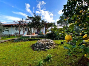Il Giardino di Bea - Accogliente villa all'aperto Casarano